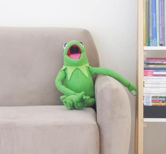 kermti frog kanapén nevet vicc nyelvtanulás