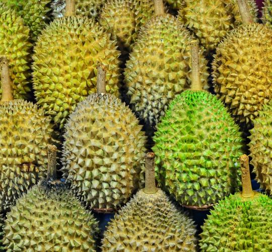 durián gyümölcsök