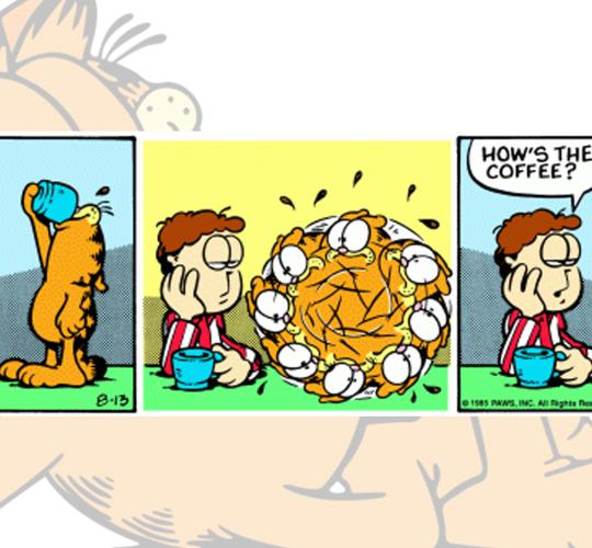 garfield picture story 